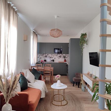 Maison Cosy Terrasse Ensoleille 클레르몽페랑 외부 사진